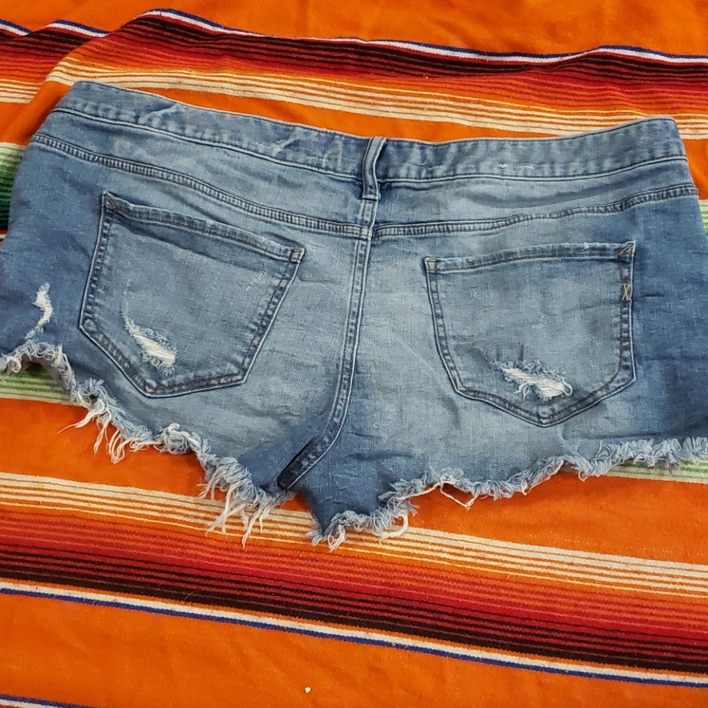 Express Low Rise Med Wash Distressed Cutoff